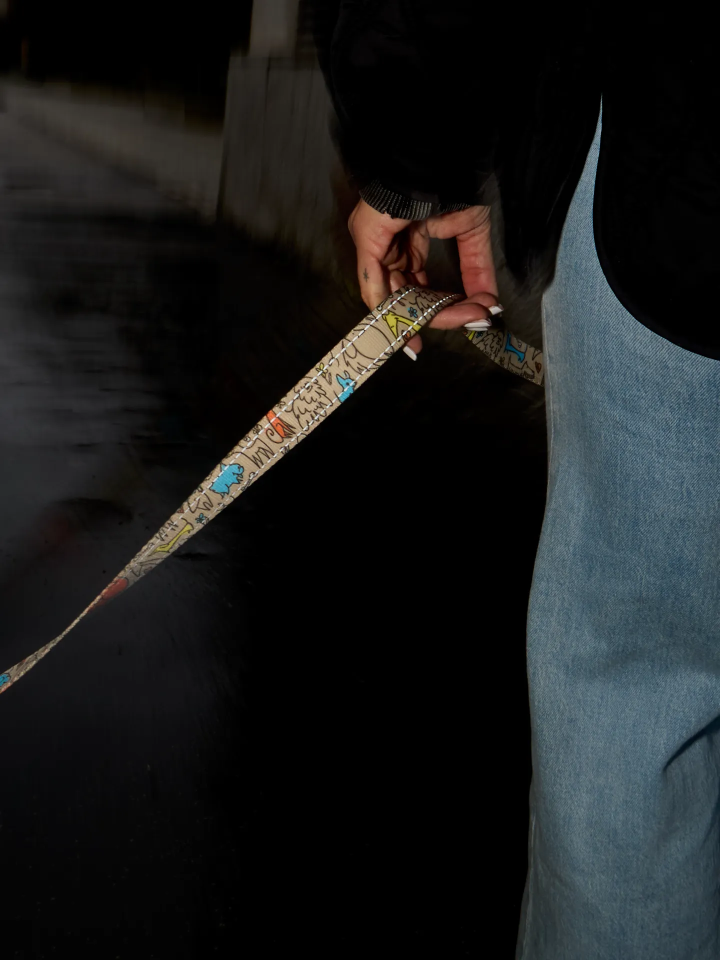 Vodítko pro psa Svorka - Image 7