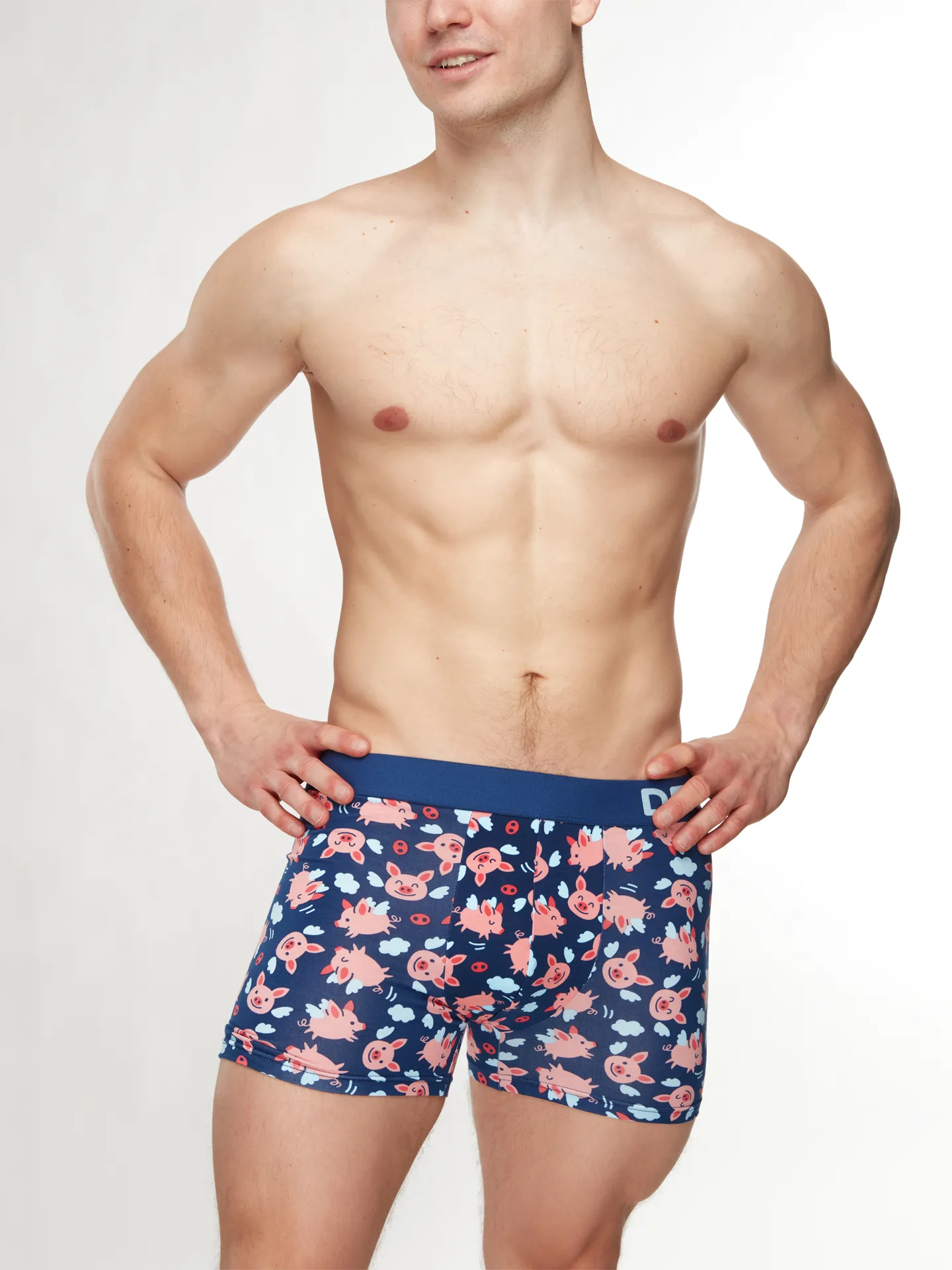 Veselé pánské boxerky Létající prasátka - Image 3