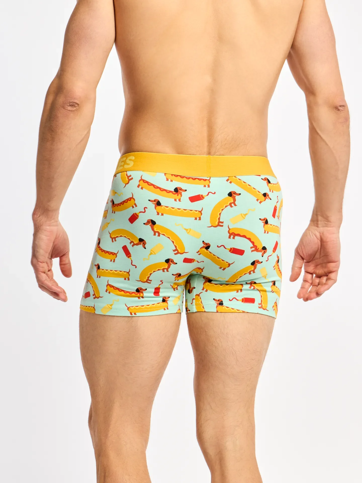 Veselé pánské boxerky Hotdog - Image 4