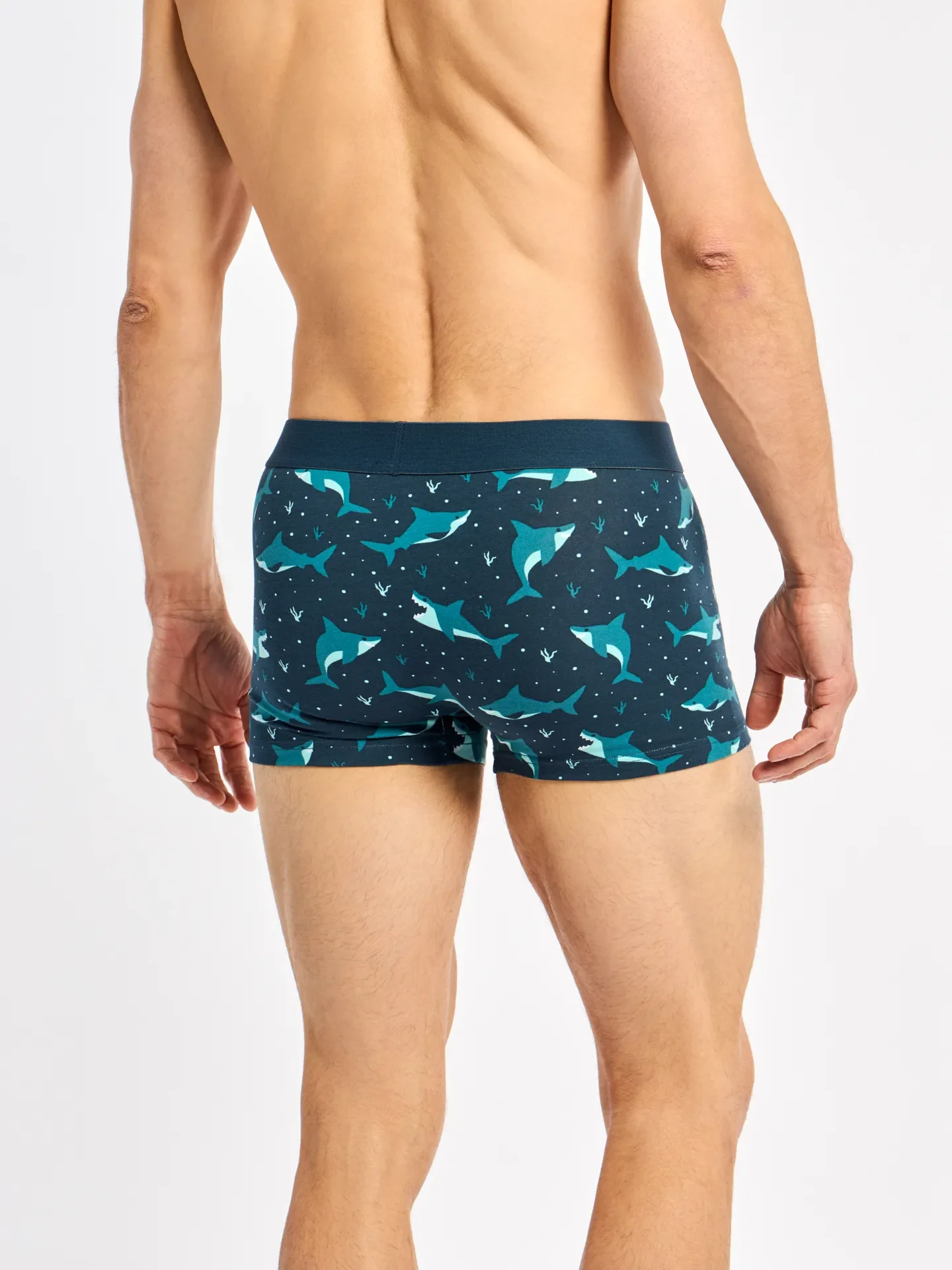 Zkrácené pánské boxerky Modrý žralok - Image 4