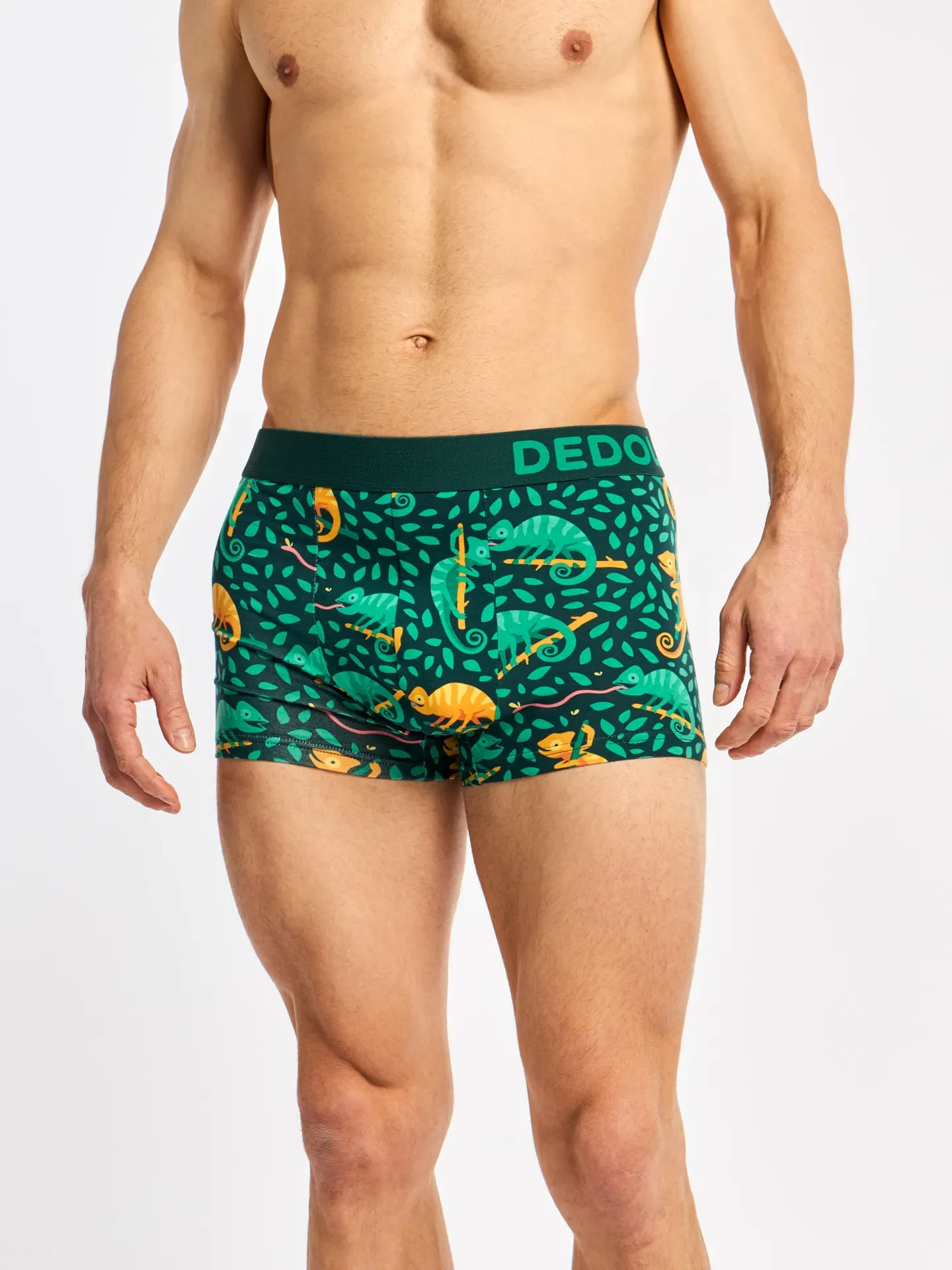 Zkrácené pánské boxerky Chameleon na lovu - Image 3