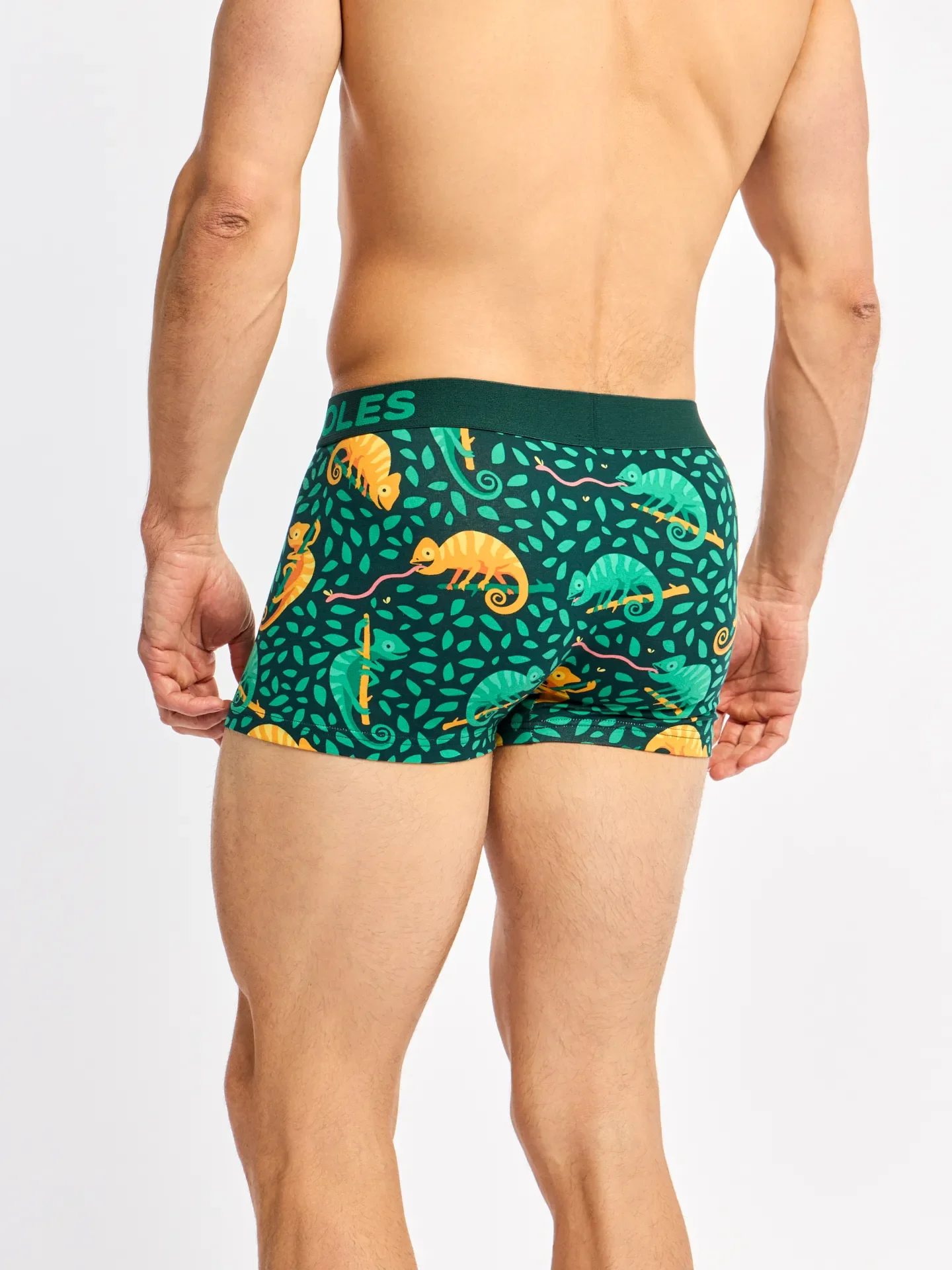 Zkrácené pánské boxerky Chameleon na lovu - Image 4