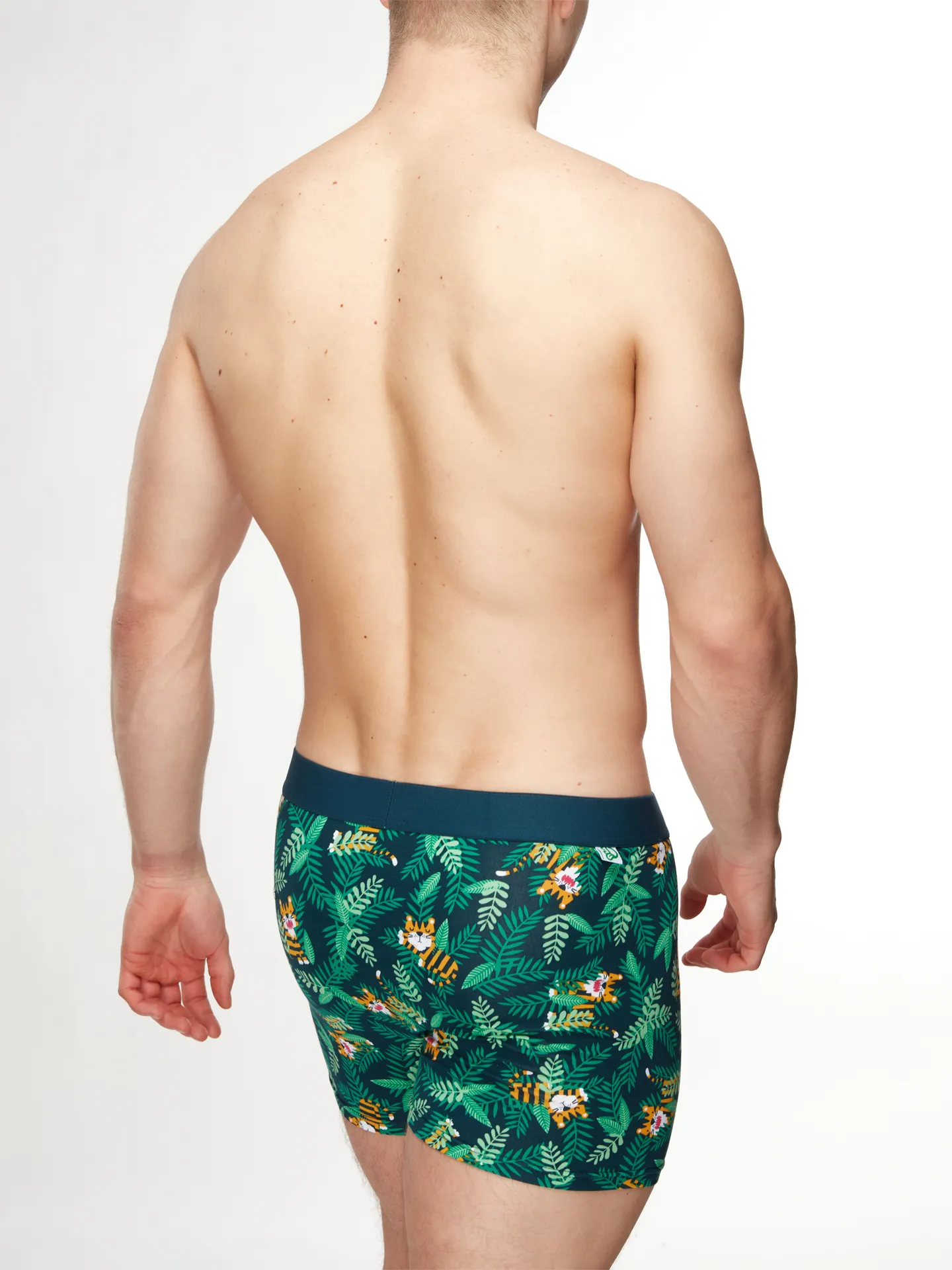 Veselé pánské boxerky Tygr - Image 4