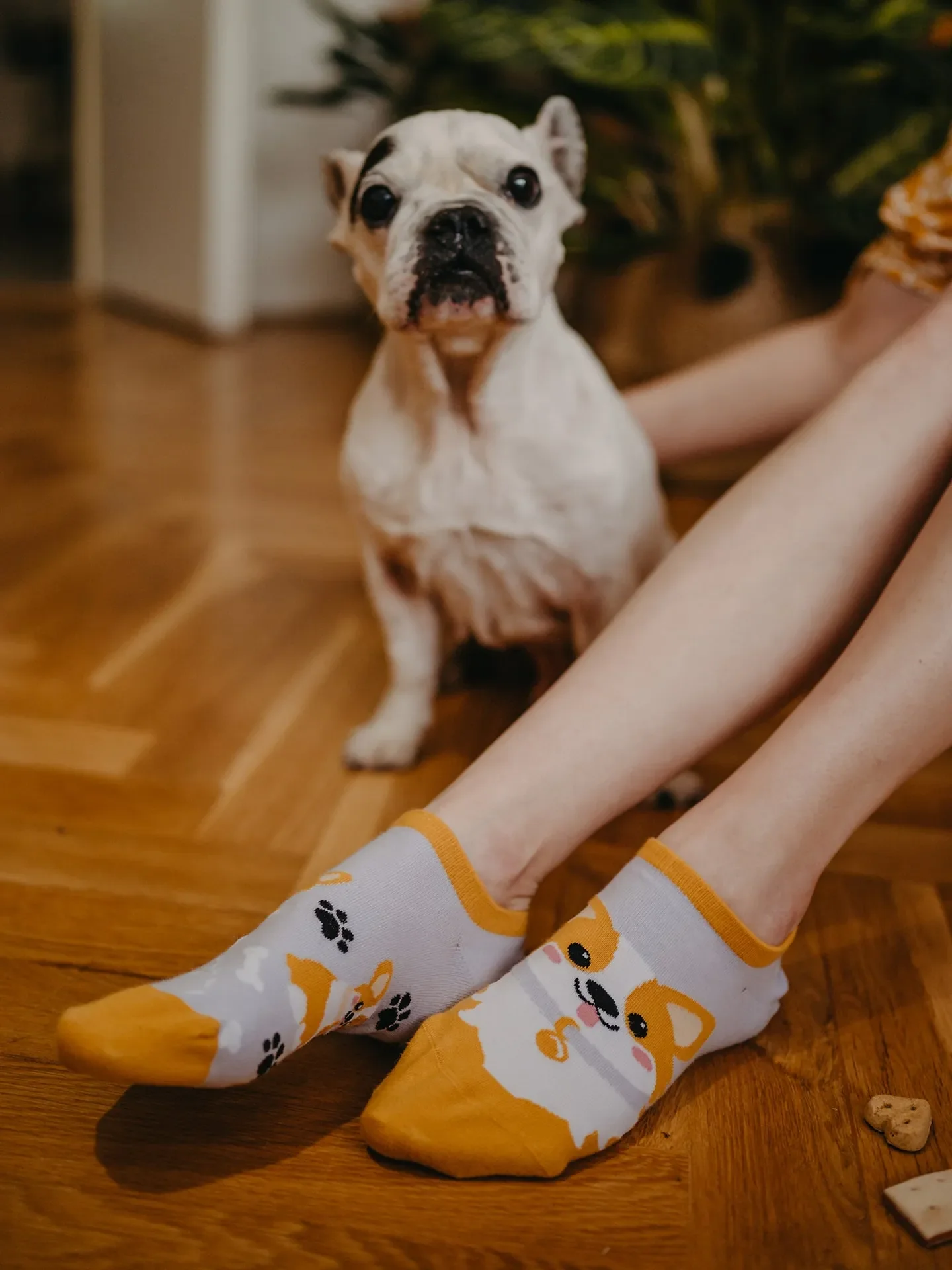 Veselé ponožky do tenisek Pes Corgi - Image 4