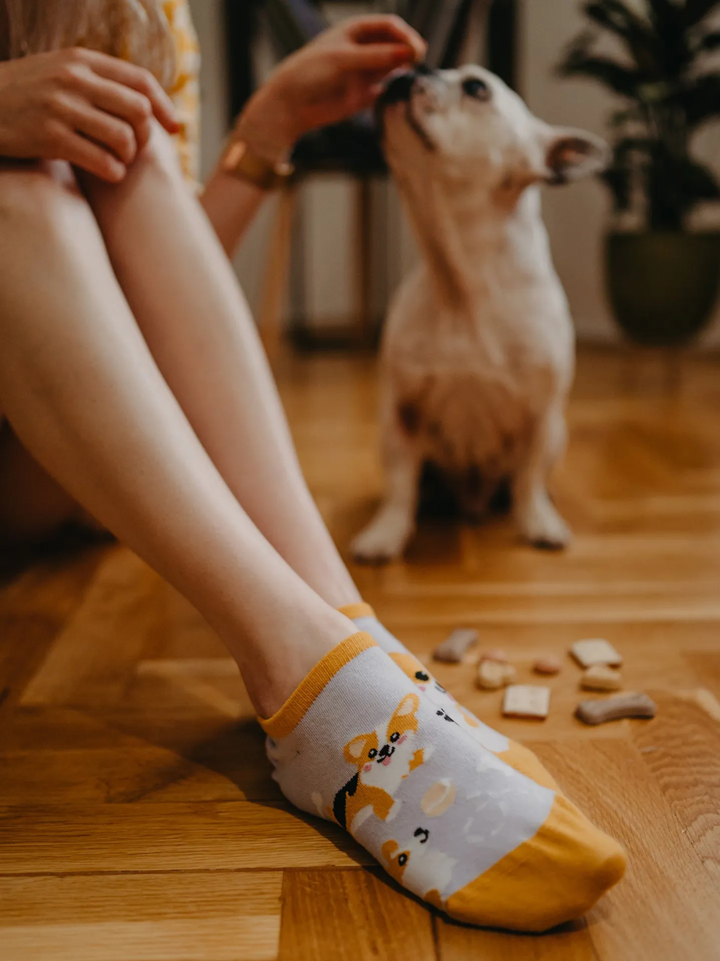 Veselé ponožky do tenisek Pes Corgi - Image 5