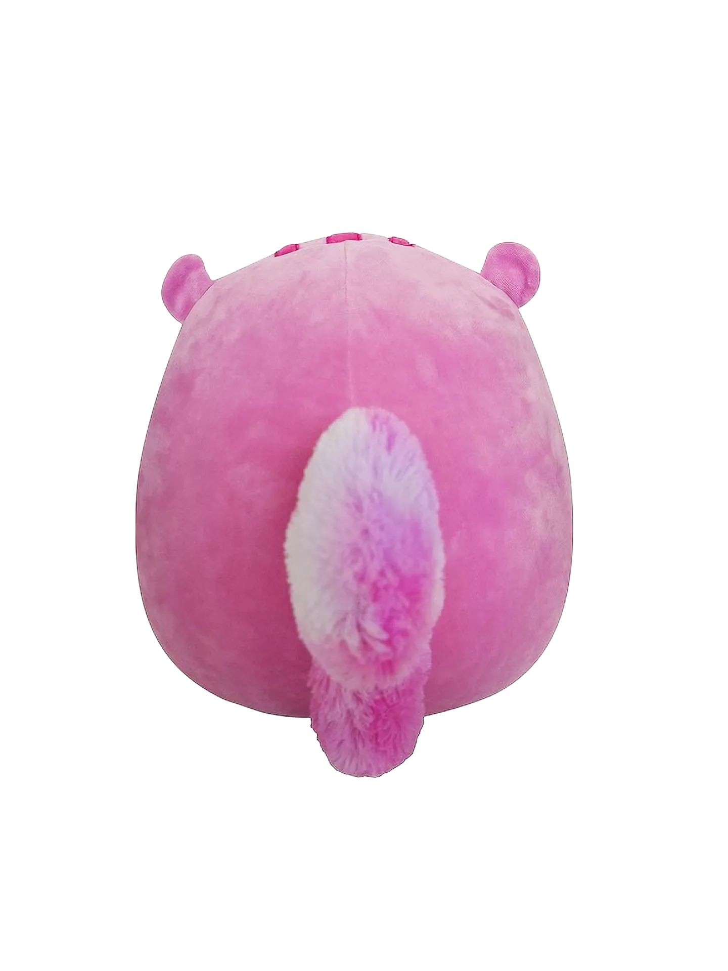 SQUISHMALLOWS Veverka Allina, 20 cm - Image 3